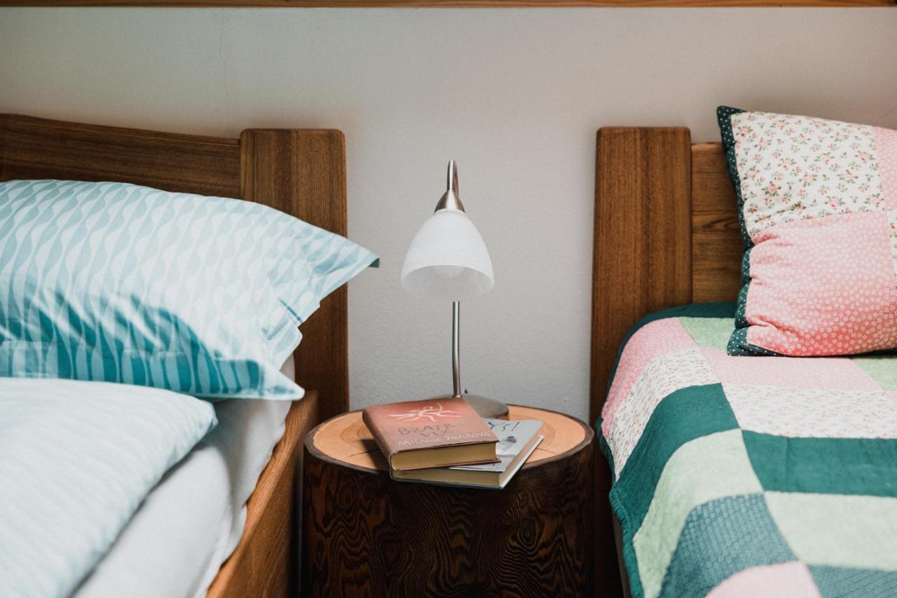 Apartman Karel A Martina ロキトニツェ・ナト・イゼロウ エクステリア 写真